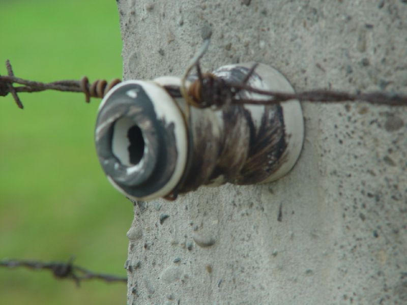 Birkenau Electric Wire